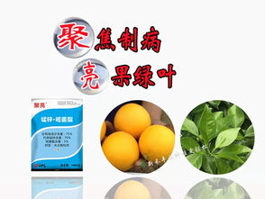 聚焦制病，亮果绿叶 标准化商品信息咨询服务解析